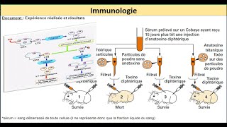 immunologie le systeme immunitaire exercices svt bac 2022 QCM 02 [upl. by Hickey]