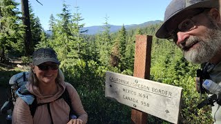 PCT Walking Wanderers   Episode 19  Days 9194 Miles 15161718 [upl. by Ahtilat]