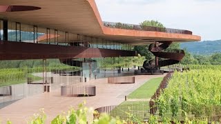 26 Generations of Winemakers  The Inside Story of Italys Antinori Family [upl. by Auqinehs]