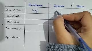 Histological differences bw duodenum jejunum and ileum  histology of small intestine [upl. by Gregory]