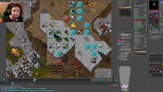 Tibia  Low level PvP action on Julera on Mini Addled [upl. by Cloutman]