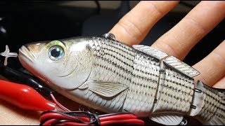 New Fully Motorized Fishing Lure  Beginning of the End for Live Bait [upl. by Shirlene519]