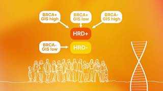 Introduction to Homologous Recombination Deficiency HRD assessment [upl. by Convery823]