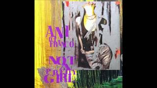 Ani DiFranco  The Million You Never Made [upl. by Gahan]