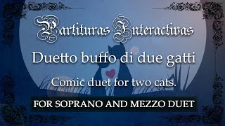 Duetto buffo di due gatti KARAOKE FOR MEZZO AND SOPRANO DUET  G Rossini  Original key D Minor [upl. by Cleodell241]