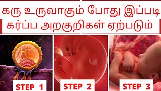 early pregnancy symptoms in tamil by doctorகரு உருவாதல் அறிகுறிimplantation symptoms in tamil [upl. by Junette919]