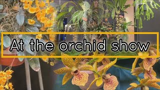 A RELAXING STROLL AT THE ORCHID SHOW LOOKING AT THE LOVELY BLOOMS [upl. by Jenkins]