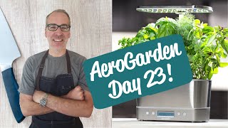 You Wont Believe What Grew in 23 Days AeroGarden Harvest Elite [upl. by Head]