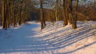 HD 1080p CC In The Bleak Midwinter Christina Rossetti [upl. by Freberg389]