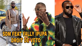 SDM FEAT FALLY IPUPA  DROIT DE VETO VALIDÉ PAR BOOBA ET MAITRE GIMS [upl. by Eadmund860]