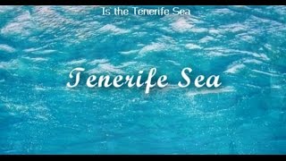 Ed Sheeran  Tenerife Sea Lyrics EspañolIngles [upl. by Franza]