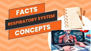 Anatomy of Respiratory System Facts amp Concepts Anatomy Student Zone [upl. by Potash]