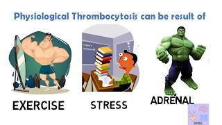 Causes of Thrombocytosisinterpretation of complete blood countpart 24 of 3 [upl. by Adelice]