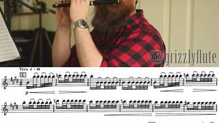 GRIZZLYFLUTE  Piccolo excerpt Mov4 Vivo of Scheherazade by Nikolai RimskyKorsakov [upl. by Primavera786]