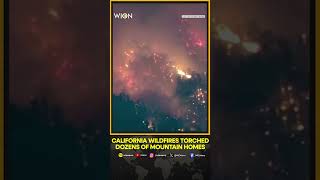 California wildfires torched dozens of mountain homes  WION Shorts [upl. by Prospero]