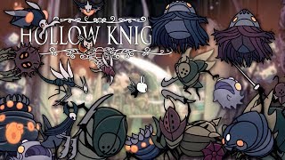 How to Win Trial of the Fool with Only 10 Notches Hollow Knight Detailed Guide [upl. by Anavlis]