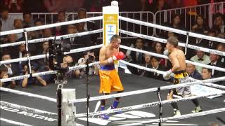 NAOYA INOUE VS NONITO DONAIRE WBSS BANTAMWEIGHT FINAL 20191107 [upl. by Ahseena190]