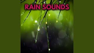 Rainfall Asmr For Sleeping [upl. by Osrit918]