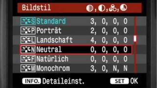 Canon EOS 40D Bildeinstellung Tutorial in deutsch 34 [upl. by Navanod]
