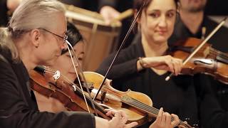 Henry Purcell The Fairy Queen Z629 – Bremer Barockorchester François Fernandez [upl. by Odette]