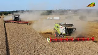 Getreideernte 2021 Erntetechnik Innovation moderne Landwirtschaft Combine Harvester harvesting App [upl. by Elehcin]