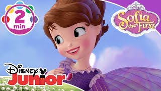 Sofia The First  The Fairy Way Music Video 🎶  Disney Kids [upl. by Harday]