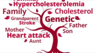 Familial Hypercholesterolemia [upl. by Candis]