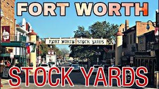 Fort Worth Stockyards  Tour and Drive Thru [upl. by Prescott]