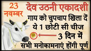 23 नवम्बर देवउठनी एकादशी गाय को खिला दें ये 1चीज पूरे साल पैसा खींचा चला आएगा कष्टो से मिलेगी मुक्ति [upl. by Adniral]