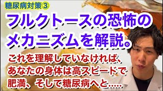 フルクトースの恐怖のメカニズムを解説！！〜これを理解していなければ、あなたの身体は高スピードで肥満、そして糖尿病へと [upl. by Grunenwald616]