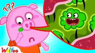 Why Are There Boogers in the Nose  Wolfoo Educational Videos for Kids 🤩 WolfooCanadaKidsCartoon [upl. by Eyr]