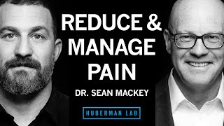 Dr Sean Mackey Tools to Reduce amp Manage Pain [upl. by Lanae273]