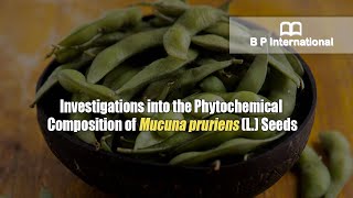 Investigations into the Phytochemical Composition of Mucuna pruriens L Seeds [upl. by Hanoy280]