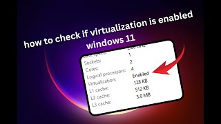 how to check if virtualization is enabled windows 11 [upl. by Frost]