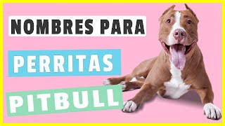 ✅ Nombres Para Perritas PITBULL mas de 50 Nombres Increibles [upl. by Adlemy]