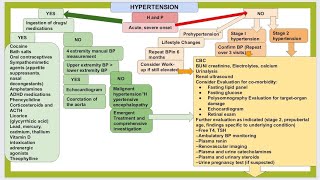 Hypertention in pediatrics [upl. by Gaut]