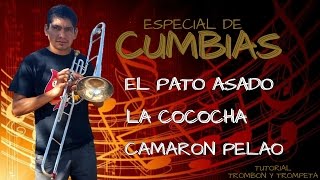 ESPECIAL DE CUMBIAS Tutorial Trombon Y Trompeta [upl. by Aisiat]