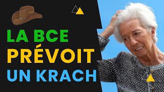 Maintenant La BCE A Peur Dun Krach Financier [upl. by Eirhtug]