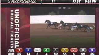 Rare white Standardbred White Bliss makes his harness racing debut [upl. by Anaujit]