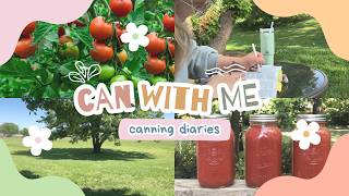 Can With Me  Canning Tomatoes for the First Time [upl. by Orford]