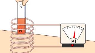 corrente elettrica indotta [upl. by Zelig]