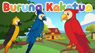 BURUNG KAKAKTUA  BURUNG KAKATUA  BURUNG KAKAK TUA  LAGU ANAK POPULER INDONESIA  KARAOKE LIRIK [upl. by Forlini]