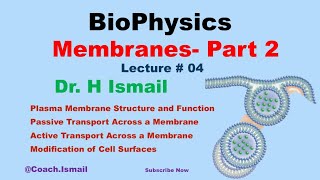 Membrane Transport in Biophysics  Active amp Bulk Transport Membrane Potential  Chapter 02 Part 02 [upl. by Emad846]