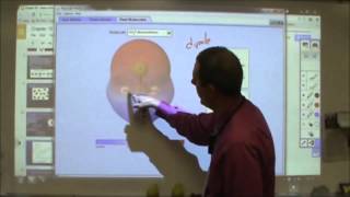 Intermolecular forces explained [upl. by Akisej]