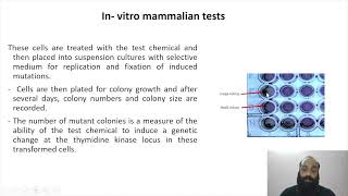 Genotoxicity and mutagenicity testing II Part 7 [upl. by Ymassej]