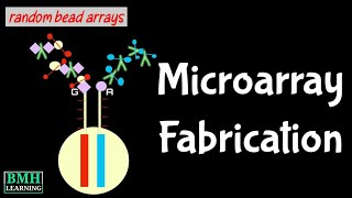 Fabrication Of DNA Microarray  How Microarrays Are Fabricated  Illumina Bead Array [upl. by Kciwdahc]