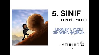 5 Sınıf Fen Bilimleri Sınavı Açık Uçlu Sorular [upl. by Disini428]