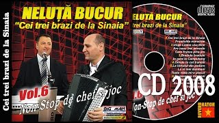 NELUTA BUCUR  Cei trei brazi de la Sinaia oficial audio [upl. by Tybie]