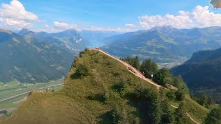 Swiss Alps Gliding Archaeopteryx meets hikers on Hirzli [upl. by Gnap379]