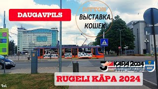 Daugavpils Городские зарисовки Соскучился по Даугавпилсу Ориентирование Kāpa 2024 Выставка кошек [upl. by Fancie]